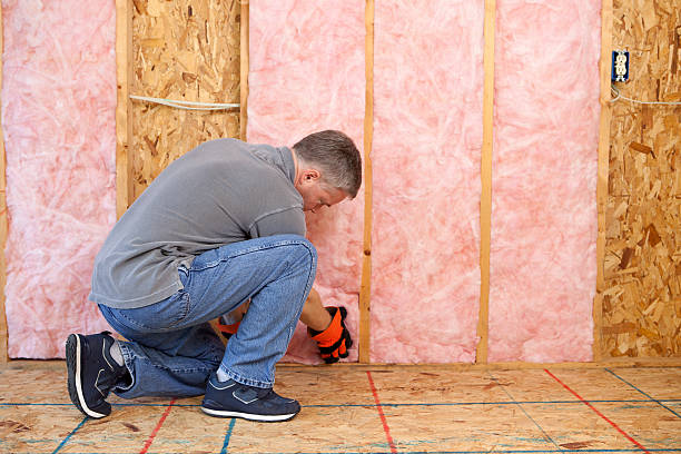 Best Insulation for New Construction  in Addison, WV
